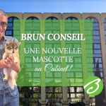 Une nouvelle recrue pas comme les autres chez Brun Conseil !