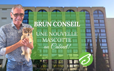 Une nouvelle recrue pas comme les autres chez Brun Conseil !