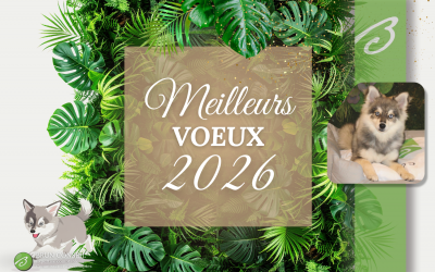 Meilleurs voeux 2026
