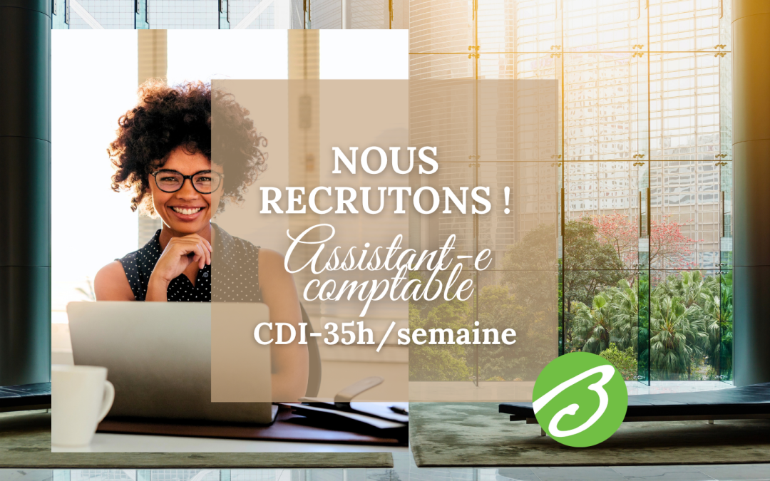 Brun Conseil recrute !